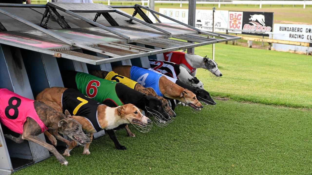 $697,000 funding boost for SEQ racing | The Chronicle