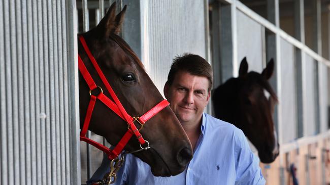 Trainer Chris Anderson with Sharp Speedo, who has multiple nominations this weekend.