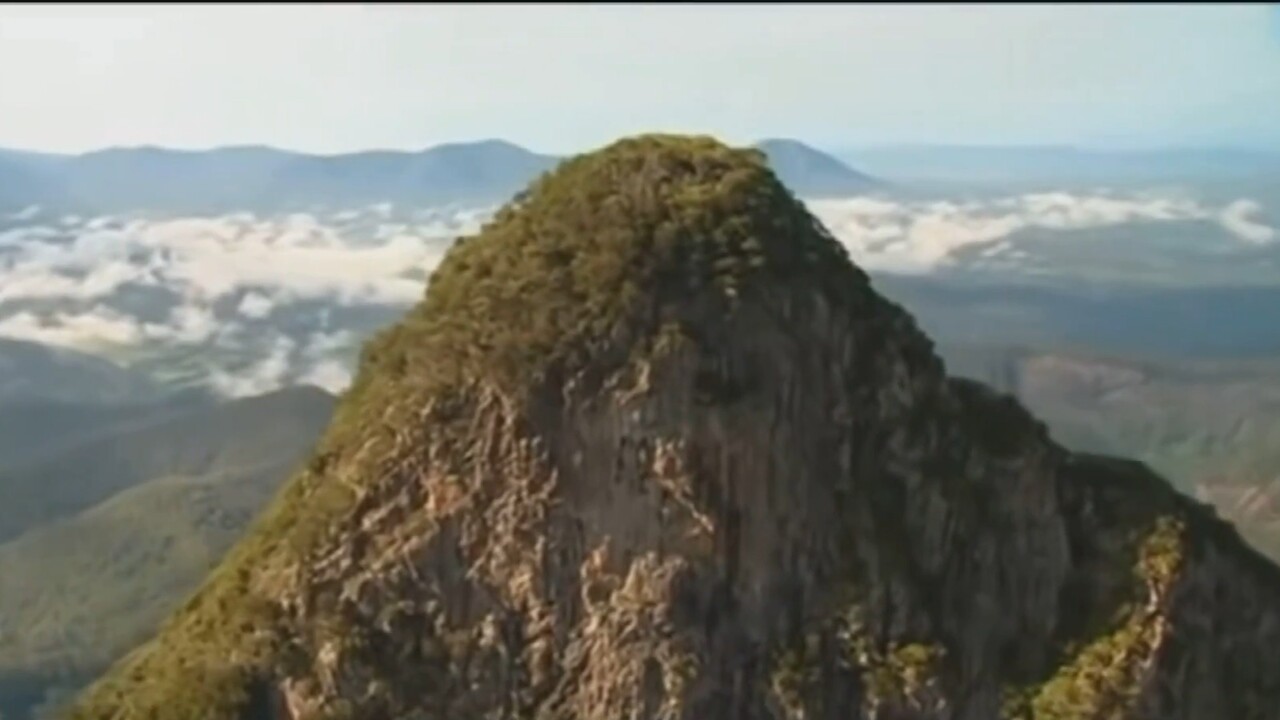 Hikers face ban from iconic Mt Warning nature trail