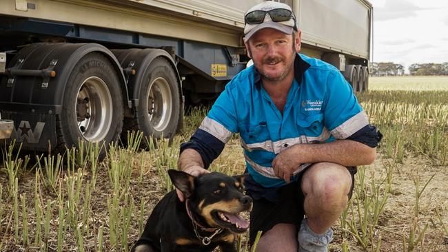 Warakirri Cropping farm manager Jono Robinson,  of Donald, with his Kelpie Meggy. Picture: Rachel Simmonds