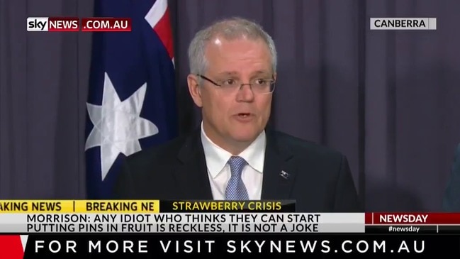 Scott Morrison on strawberry tampering crisis ( Sky News )