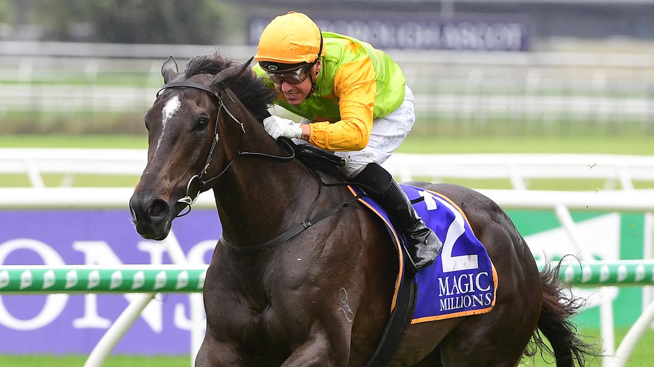 QTIS 3YO Jewel: Les Bridge makes rare Gold Coast trip with Tiger Legend ...