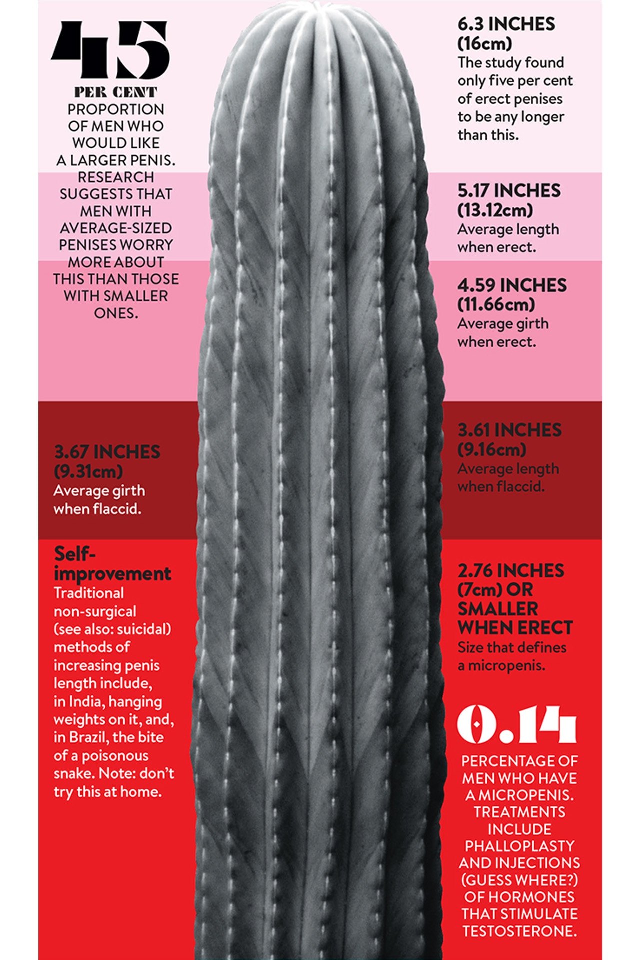 This is the average penis size in Australia (and around the world) - GQ  Australia