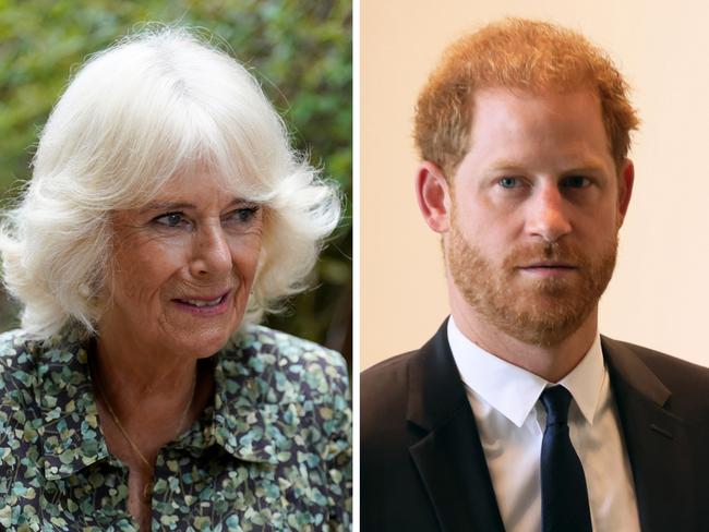 Camilla and Prince Harry are at odds.