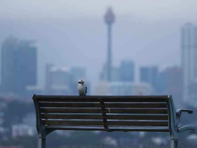 Clouds were building over Sydney on Wednesday ahead of a wet few days. Picture: John Grainger