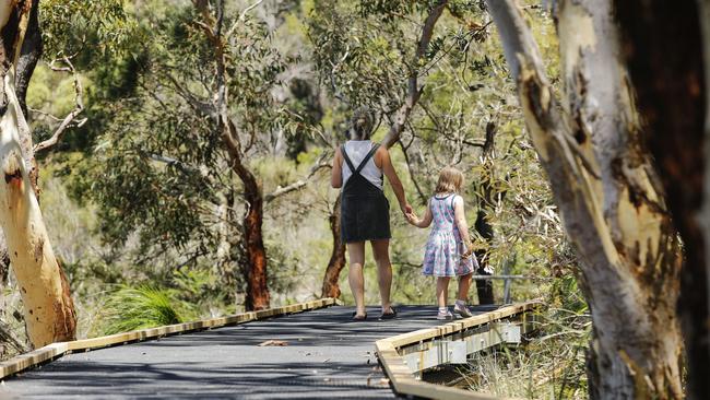 Northern Beaches Council officially opened the boardwalk on the Manly Dam Link Trail through the Manly Warringah War Memorial Park on Thursday. Picture Karen Watson