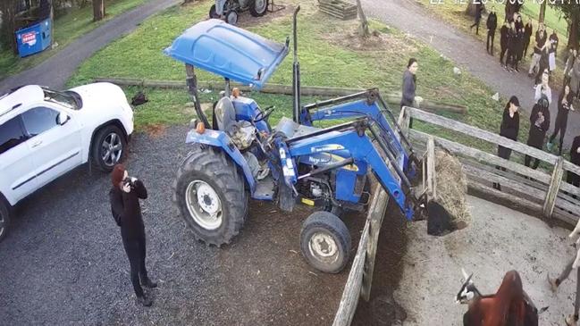 Animal activists take goats from the Gippy Goat Cafe in 2018, which led to a parliamentary inquiry and introduction of on the spot fines for farm invasions.