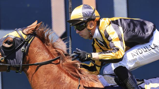 Brenton Avdulla looks a good chance in the TAB Jockey Challenge. Picture: Getty Images