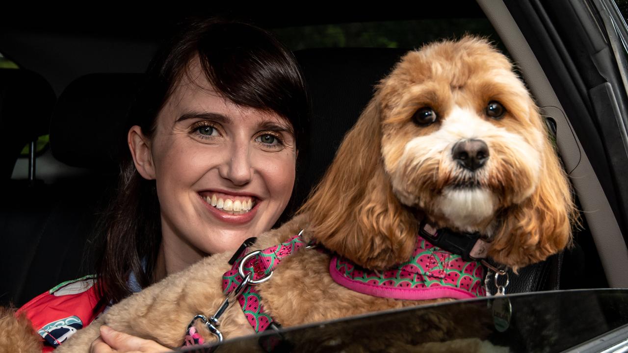 Yvette Cormack with Leilani (cavoodle) about to take a ride with Uber Pets at Centennial Park on Sunday, 8 March 2020. (Image / Monique Harmer)