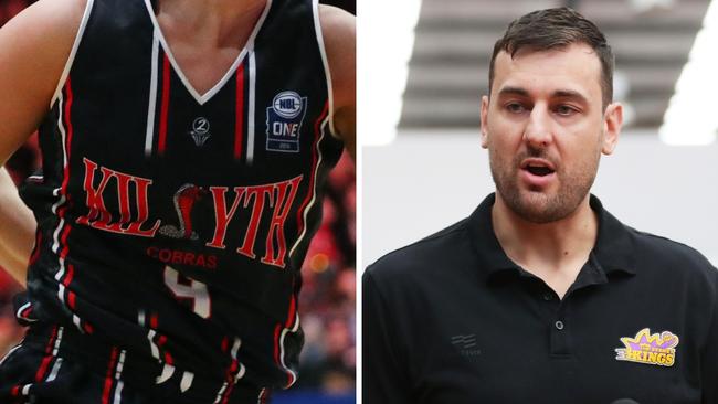 Andrew Bogut has made his thoughts known.