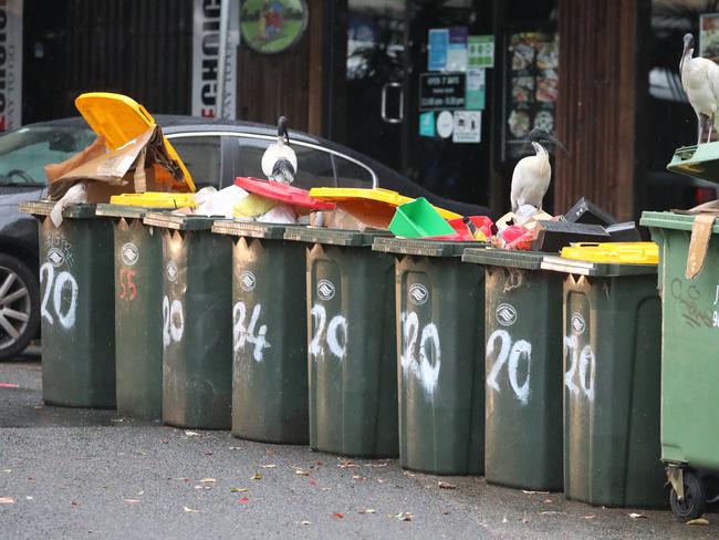 Ratepayers Victoria blames the disconnect between councils and local MPs for bin problems. John Grainger