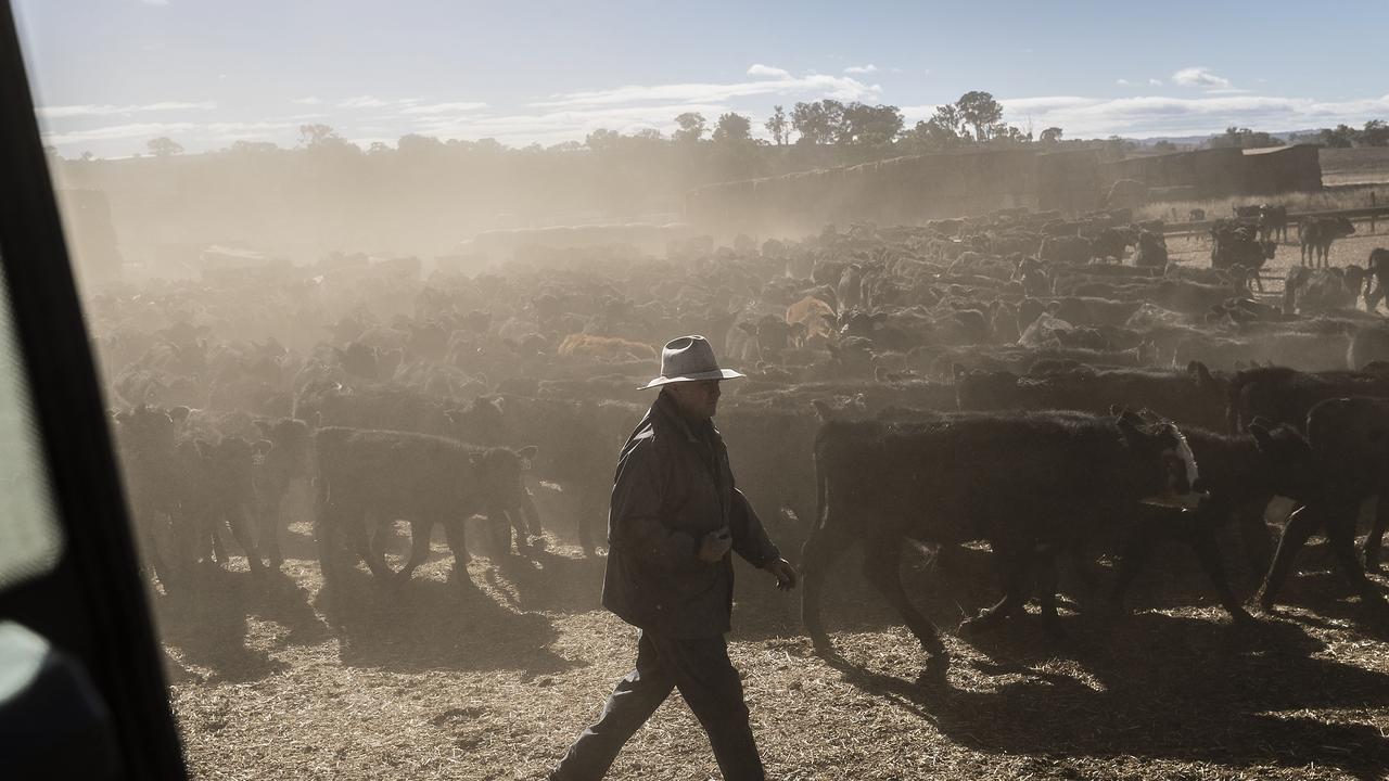 Droughts affect farmers but also the entire community they live in. Picture: Brook Mitchell/Getty Images