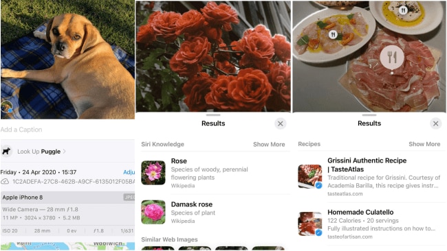 See a cute dog, a beautiful flower or a delish dish? Just take a photo of it. 