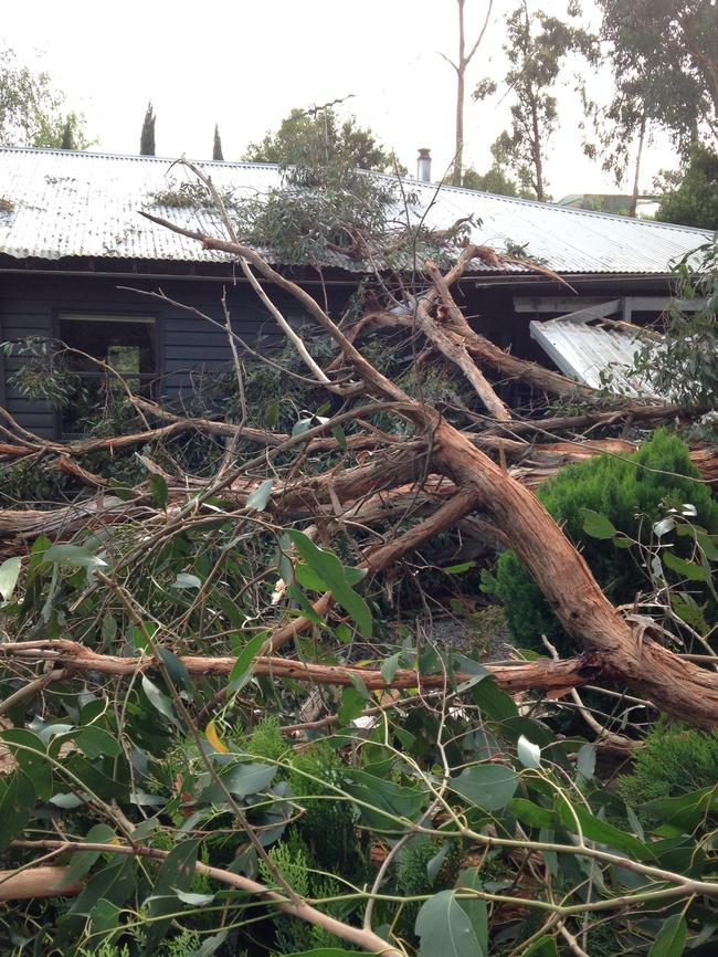 Damage to a Healesville house and property. Picture: Supplied