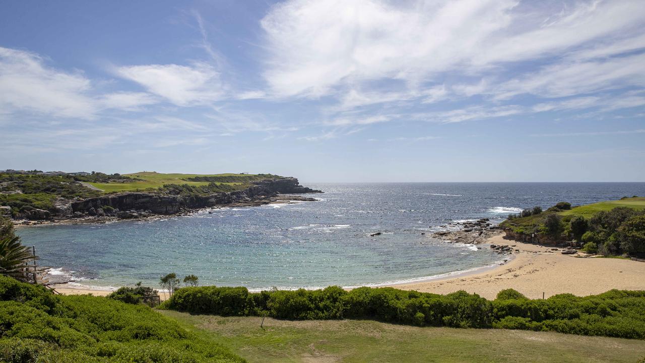 Sydney shark attack: Fishing at Little Bay may have contributed to