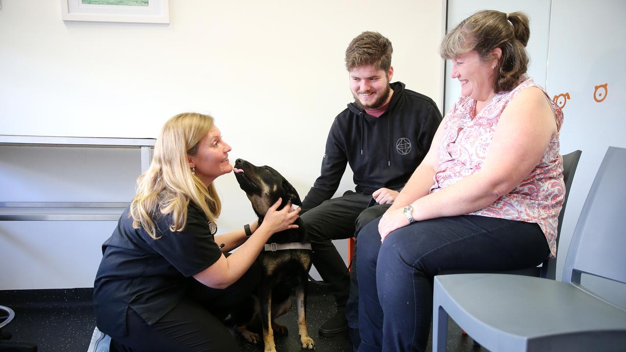 Molly was diagnosed with lymphoma at age six. Molly, who came into Robin Logie’s life after a divorce, has become a much-loved part of her family.“She’s been the most amazing support... having a dog makes you care for something else.” Because she had pet insurance, she could claim 70 per cent of the cost back. Without it, she wouldn’t have been able to afford the $10,000 plus treatment. Picture: Tim Hunter.