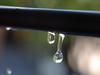 Albanese pays premium for water