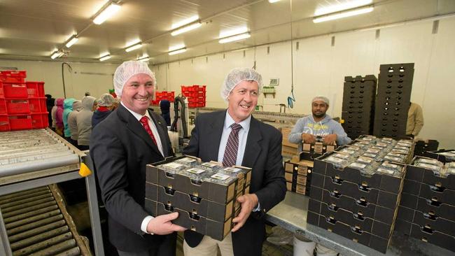 Donald Trump’s might have the world’s most famous combover, but Barnaby Joyce, pictured in a Woolgoolga blueberry processing plant with Cowper MP Luke Hartsuyker, isn’t afraid to wear an unusual look up top. Picture: Trevor Veale