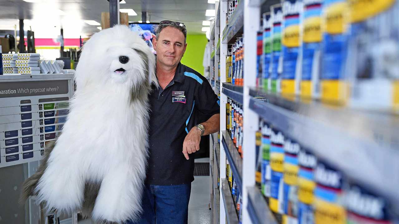 Large dulux dog soft on sale toy