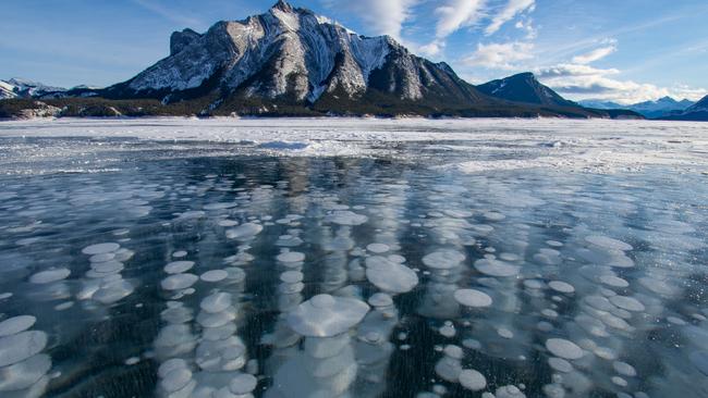 Methane bubbles frozen in Abraham lake Canada. There are fears as the world warms, this methane will be released into the atmosphere.