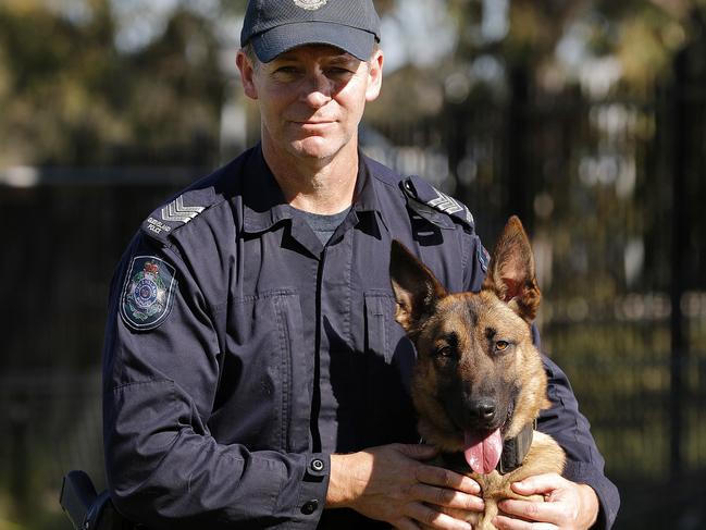 Sergeant Cameron McKinnon with Echo from the Police Dog Squad training facility, Brisbane 7th of July 2021.  (Image/Josh Woning)