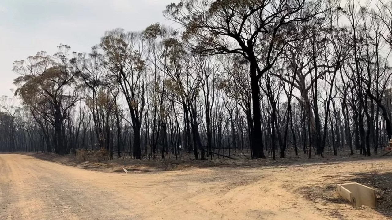 Centre Ridge in Nattai National Park, days after the fire in 2019. Picture: Supplied / Andrew Hain