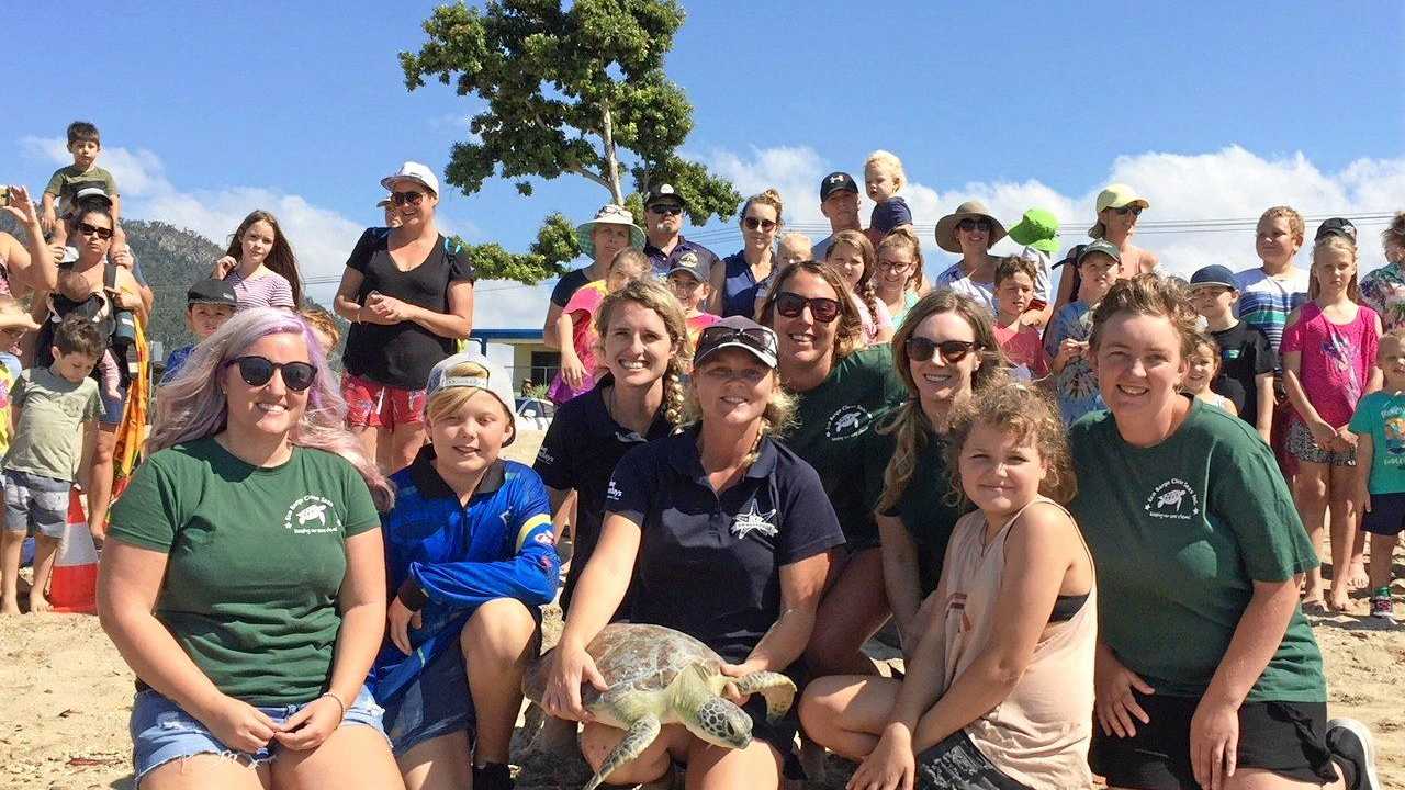 Bye-bye Betty the green sea turtle | The Courier Mail