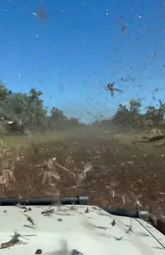 The unbelievable footage is the stuff of nightmares. Picture: Storyful