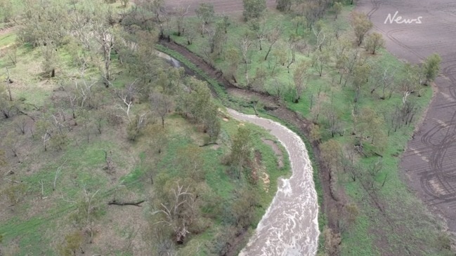 Condamine River flows after heavy rains