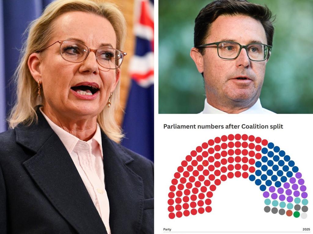 Parliament pic says it all after Coalition splits