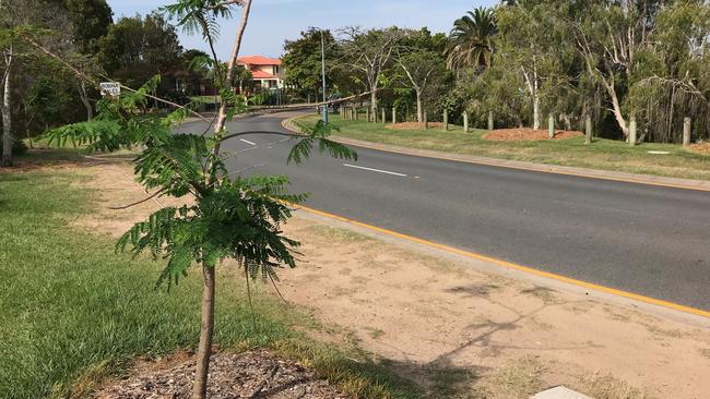 Robina’s Lake Lomandra Park on Olympus Dr.