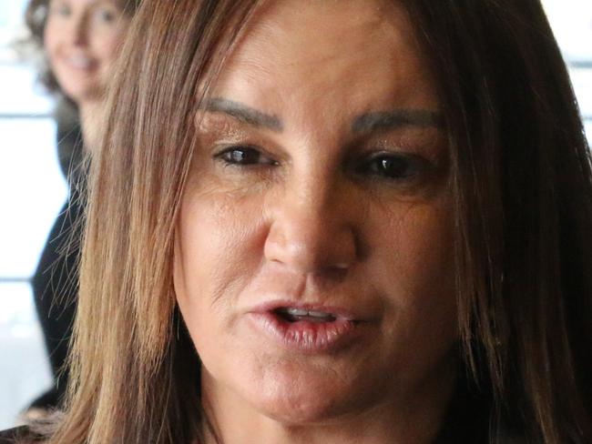 ‘Spat the dummy’: Jacqui Lambie hits out