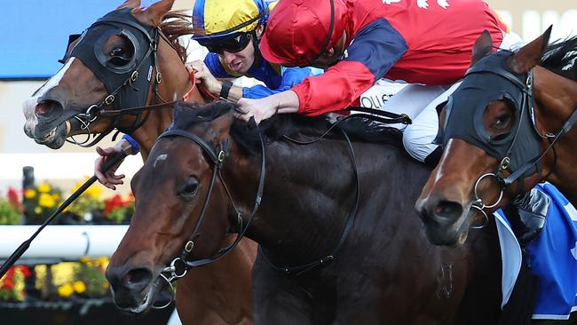 Schwarz was a narrow winner of the Missile Stakes last month. Picture: Jeremy Ng/Getty Images