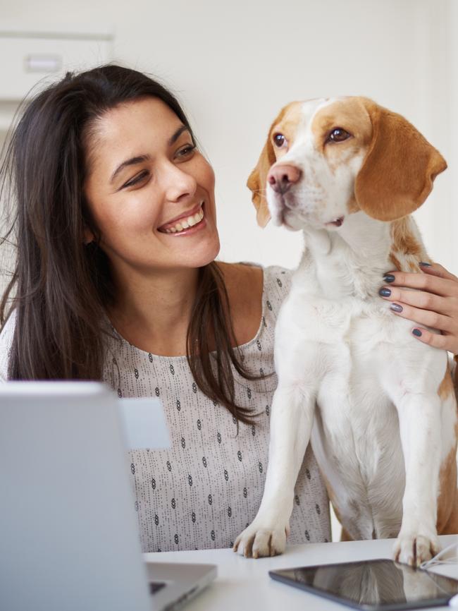 Shoppers can order online and have the items dropped to their doorstep that very same day.