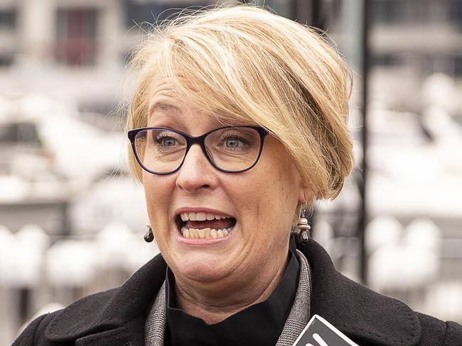 City of Melbourne Lord Mayor Sally Capp talks to the media to launch the 2018 Firelight Festival at Docklands, Melbourne, Australia, Wednesday, June 27, 2018. (AAP Image/Daniel Pockett) NO ARCHIVING