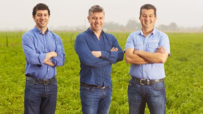 One of the winners of the 2021 Coles Supplier of the Year Awards, Mitolo Family Farm was named Fresh Produce Supplier of the Year. Pictured centre is managing director, Frank Mitolo, with brothers Darren, left, and John, right. Picture: Supplied