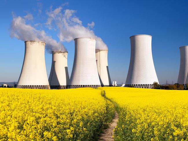 Nuclear energy could be the way forward for Australia, writes Peta Credlin.