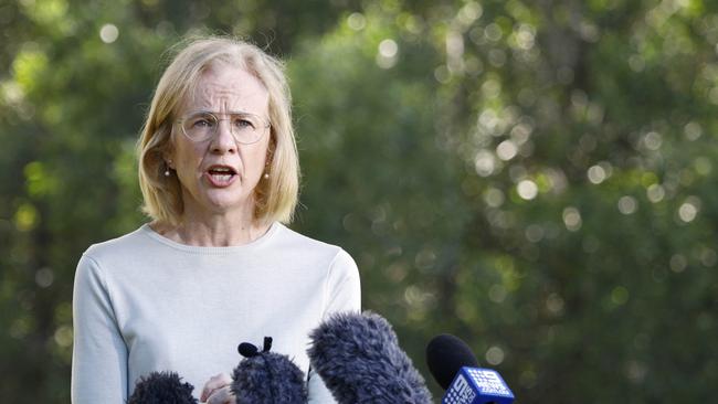 BRISBANE, AUSTRALIA - NewsWire Photos APRIL 2, 2021: Queensland Chief Health Officer Dr Jeannette Young during a press conference in Brisbane. Picture: NCA NewsWire/Tertius Pickard