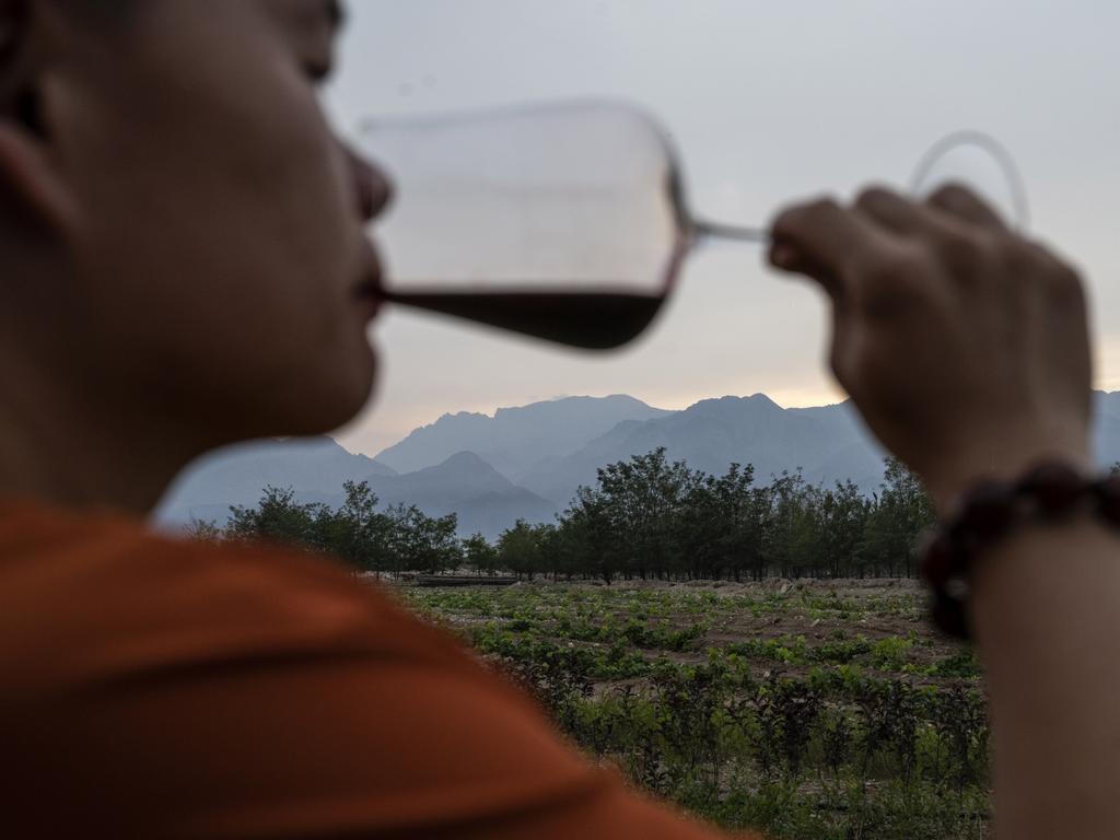 A guest tastes wine at Silver Heights Winery in Jin Shan, China. Picture: Kevin Frayer/Getty Images