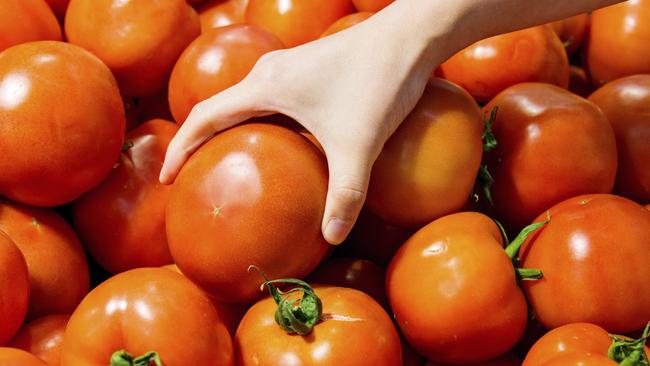 Tomato prices could soar. Picture: iStock