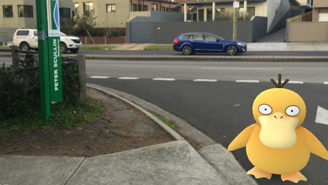 A psyduck, spotted in Pokemon Go next to Peter Scullin Reserve, Mordialloc.