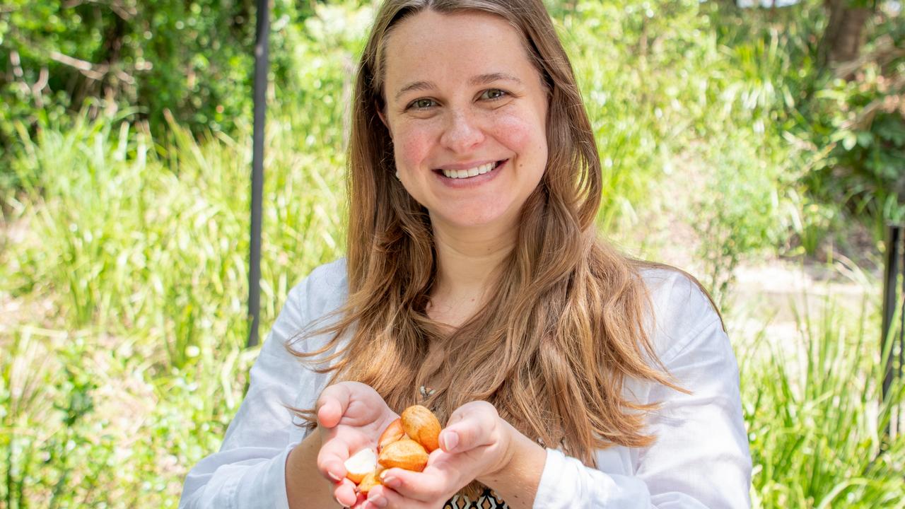 Bunya nuts are low in fat and high in nutrients and amino acids | The ...