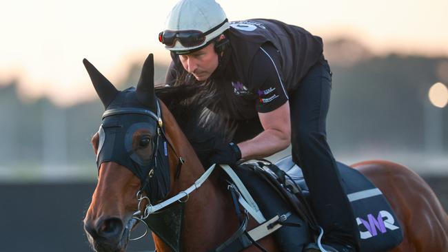 The Chris Waller trained Joliestar having a final gallop before The Everest at Rosehill Gardens Picture: Justin Lloyd.