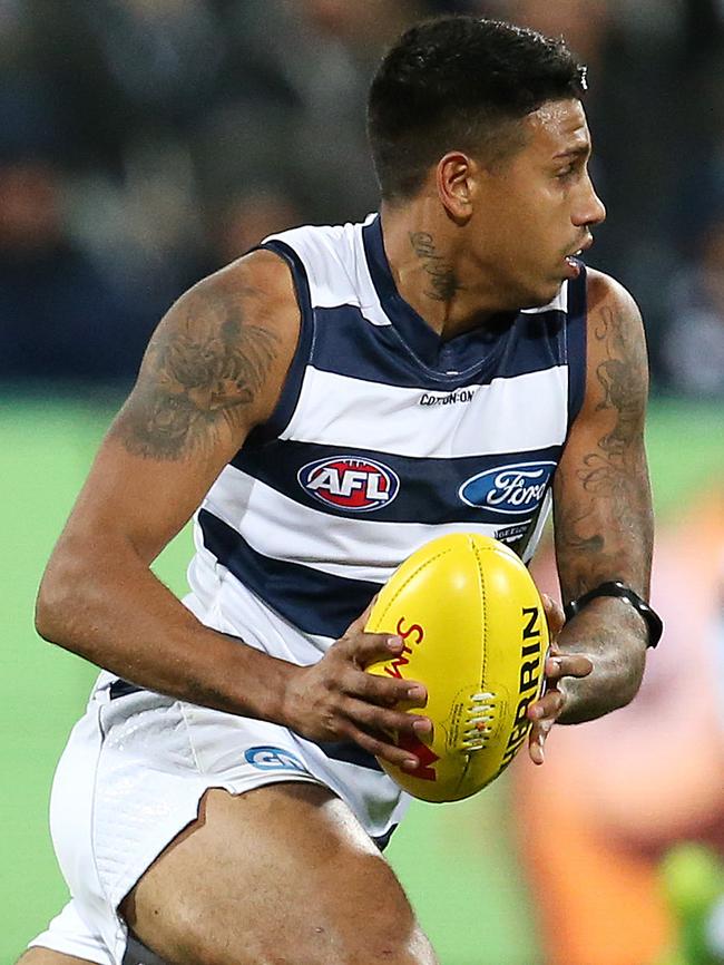 Geelong's Tim Kelly. Picture: Michael Klein