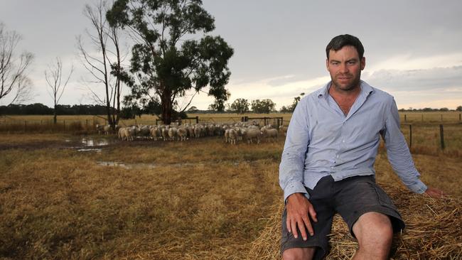 Sheep shape: Damian Merrett on his farm at Apsley in Victoria, where he produces 9000 prime lambs a year. Picture: Yuri Kouzmin