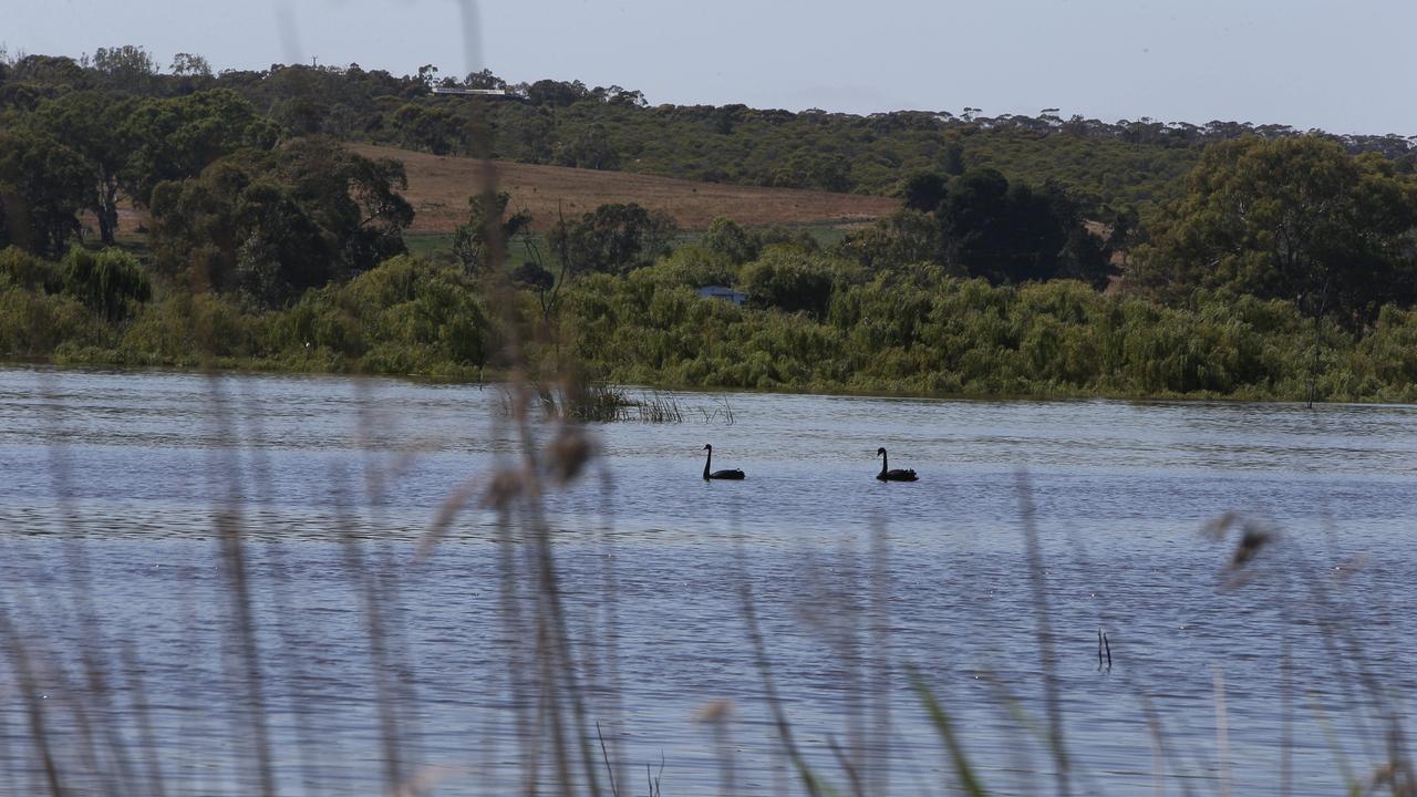 South Australia: Man, 78, found dead in floodwaters near Loxton | news ...