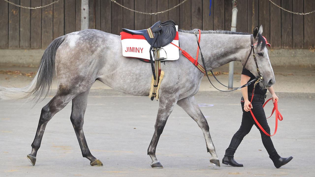 Randwick Barrier Trials