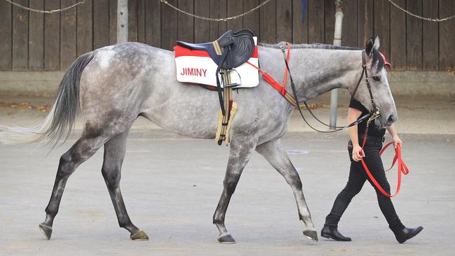 Classique Legend is ready to defend his Everest crown. Picture: Getty Images