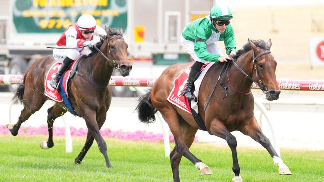 Refusetobeenglish (NZ) ridden by Ben Melham wins the Frankston Sand Soil & Mini Mix Handicap at Cranbourne Racecourse on November 23, 2024 in Cranbourne, Australia. (Photo by Scott Barbour/Racing Photos via Getty Images)