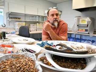 CONSERVATION KEY: Karl French, pictured with marine debris collected over three months in the Gladstone Harbour, has been nominated as chair of Gladstone's Local Marine Advisory Committee. Picture: Mike Richards GLA050918REEF